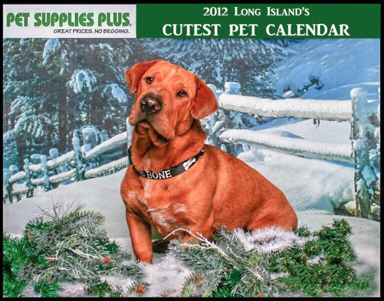 pet supplies plus calendar cover 2